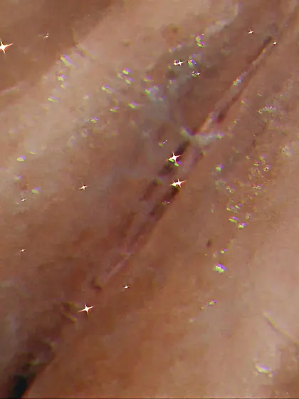 Winter Sanders aka Cynabunni3 Beautiful Wet Pussy