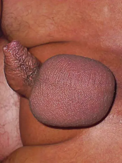 Fake Penis and Assfuck Ass-Plug