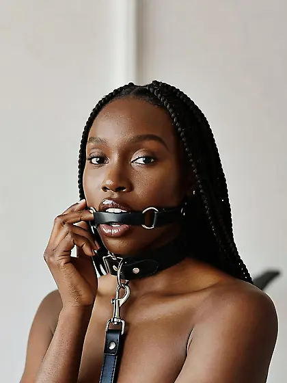 silenced and leashed are the best niggers