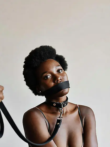 silenced and leashed are the best niggers