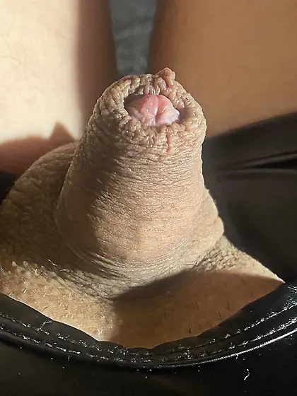 Slammed Junkie Fickpig