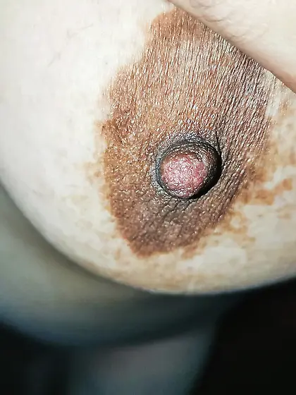 Tits tits and more tits