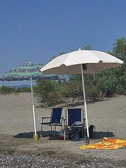 married slut at secluded beach with snak mates