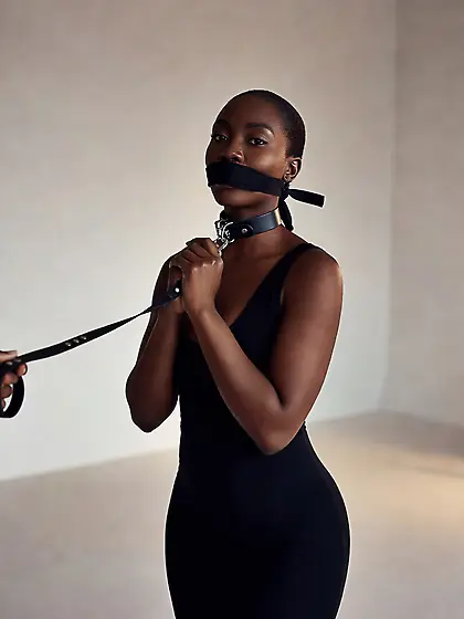 silenced and leashed are the best niggers