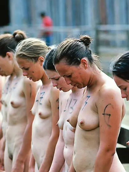 Auction : Highest Bidder is...