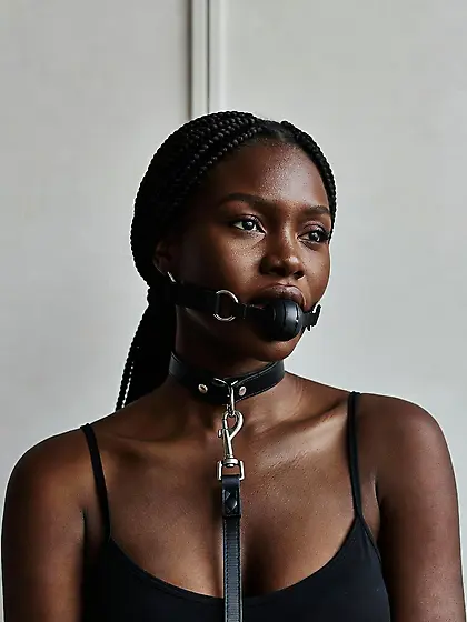 silenced and leashed are the best niggers