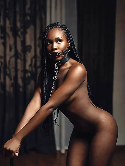 silenced and leashed are the best niggers