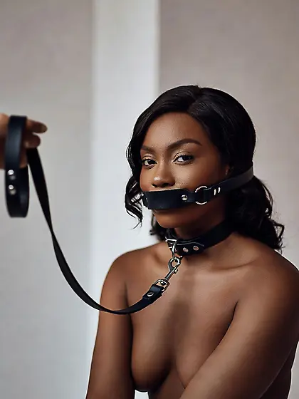 silenced and leashed are the best niggers