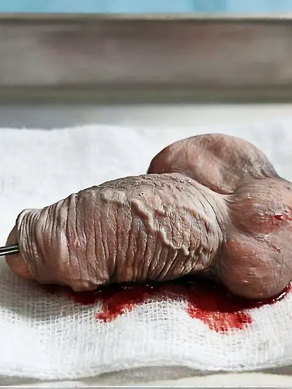 Cock on a skewer.  Real or fake? Don’t know