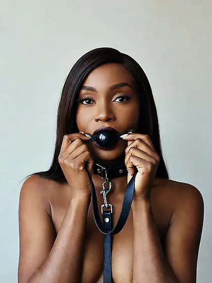 silenced and leashed are the best niggers