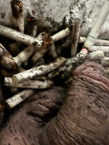 Submissive sissy faggot ashtray and toilet.