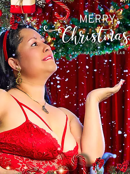 Merry Christmas and a Happy New Year