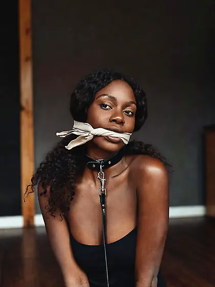 silenced and leashed are the best niggers