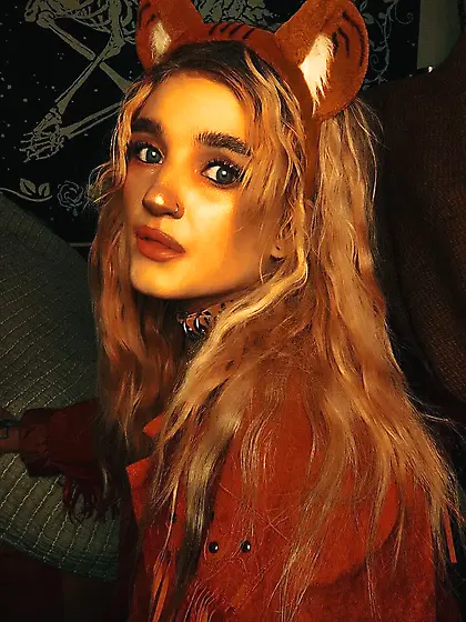 Wild tiger playing, being the hornyest an1mal in the jungle