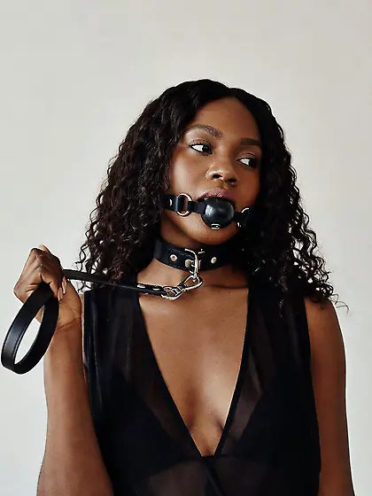 silenced and leashed are the best niggers