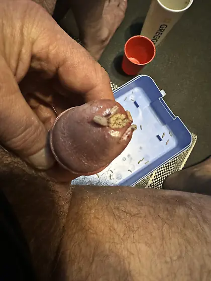 Maggots stuffed