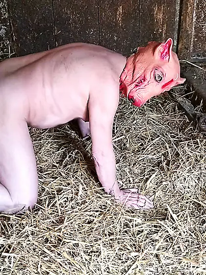 vor der Schein-Schlachtung