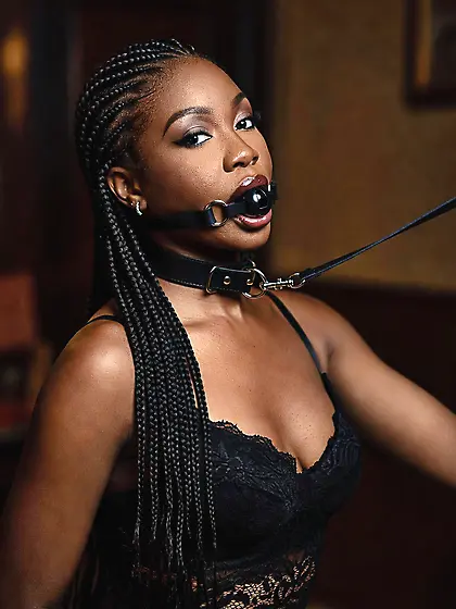 silenced and leashed are the best niggers