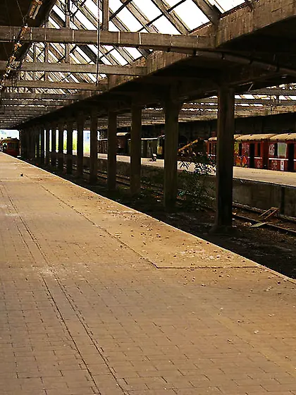 Cougar Exhibitionist Nude Chrissy from Europe