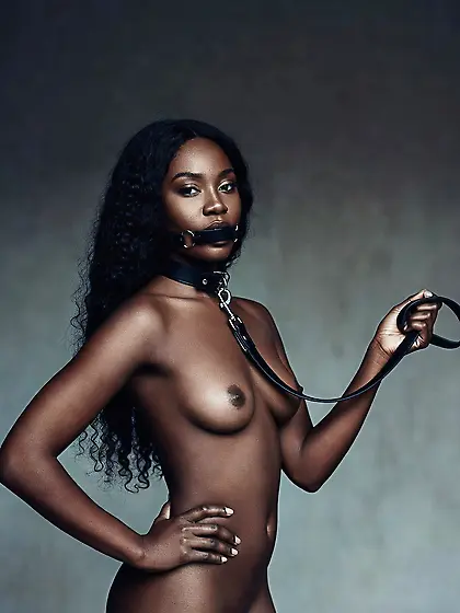 silenced and leashed are the best niggers