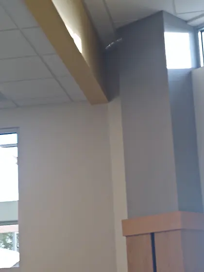 Girls looking for sex and tributes