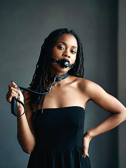 silenced and leashed are the best niggers