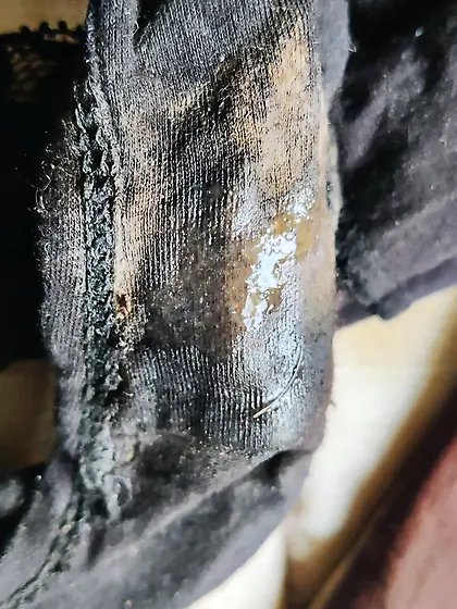 Young Daughters Dirty Panties