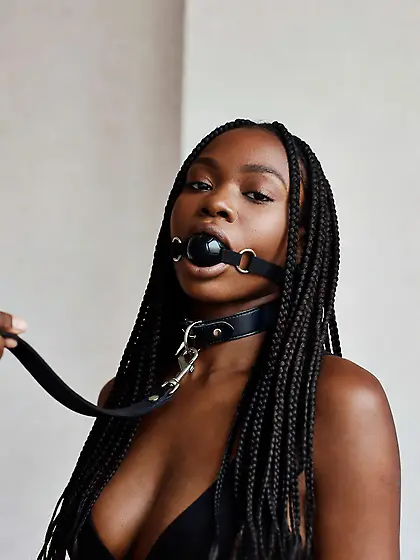 silenced and leashed are the best niggers