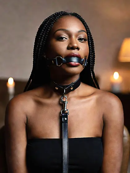 silenced and leashed are the best niggers