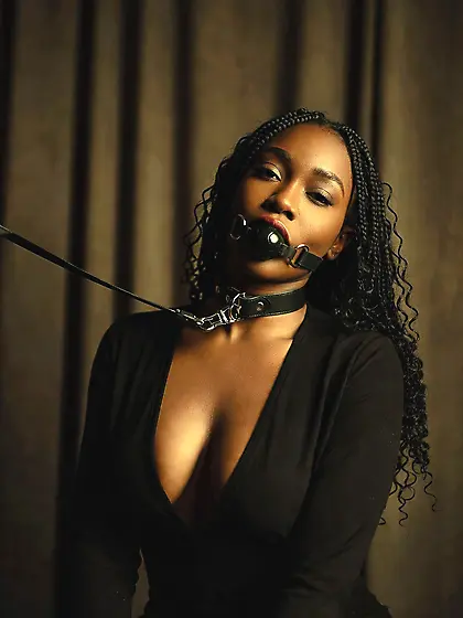 silenced and leashed are the best niggers