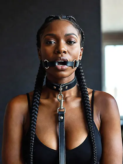 silenced and leashed are the best niggers