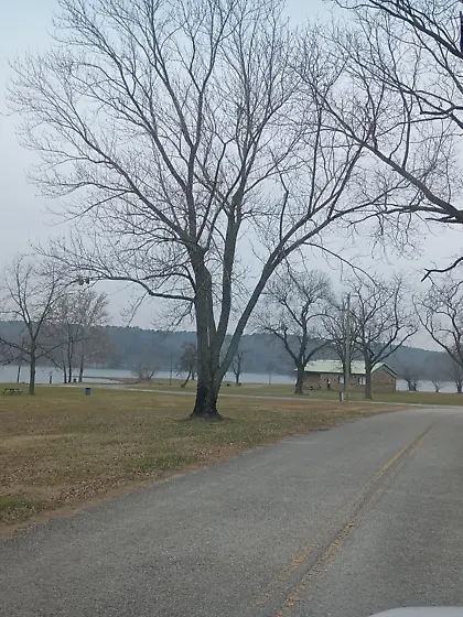 Would you fuck a boy?