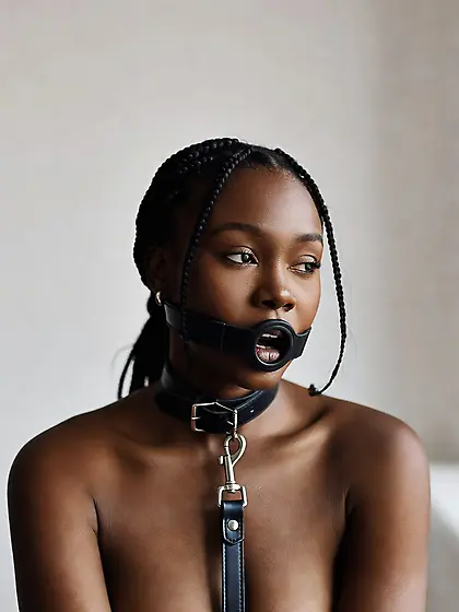 silenced and leashed are the best niggers