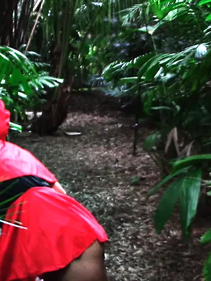 Innocent crazy wild rough sex