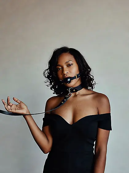 silenced and leashed are the best niggers