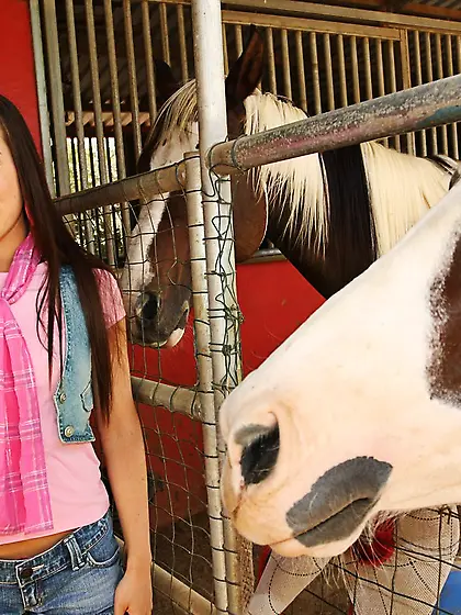 Blue eyed young farm