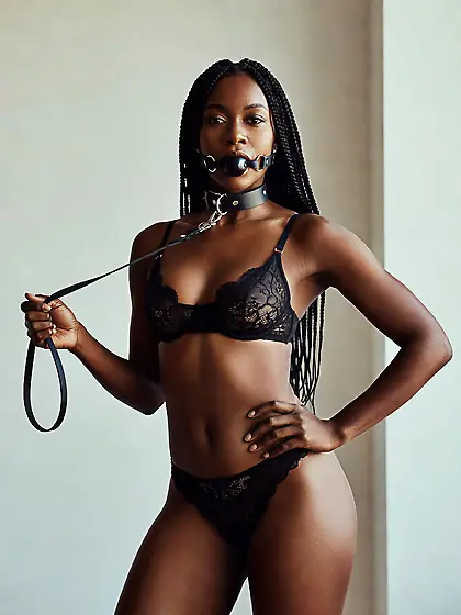 silenced and leashed are the best niggers