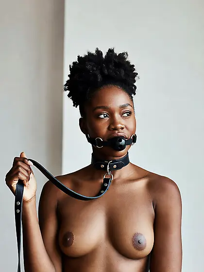 silenced and leashed are the best niggers