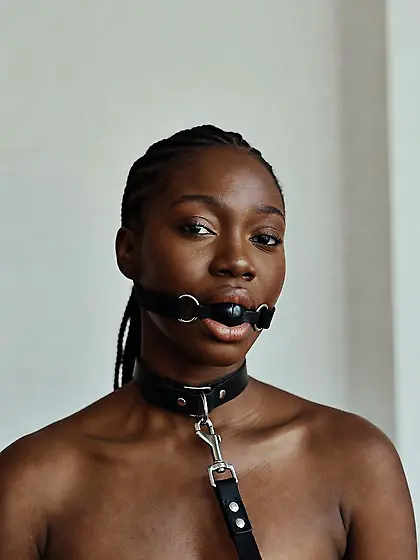 silenced and leashed are the best niggers