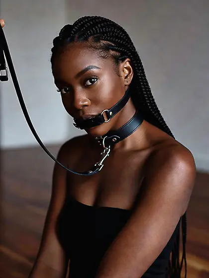 silenced and leashed are the best niggers