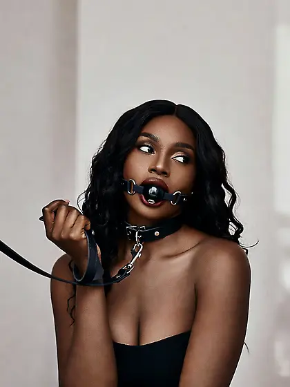 silenced and leashed are the best niggers