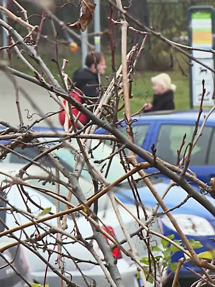 Blonde shaved cunt pleasures