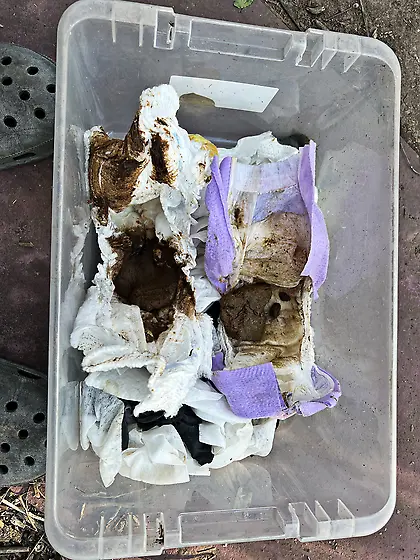 Naughty finds for play time