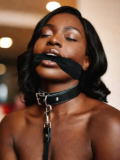 silenced and leashed are the best niggers