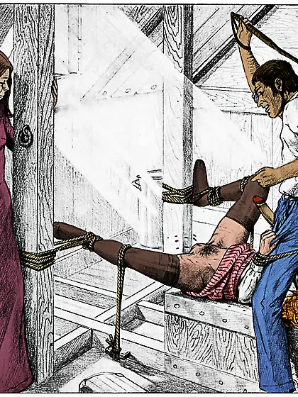 Whipped on the pussy (by Farrel). Colorized.