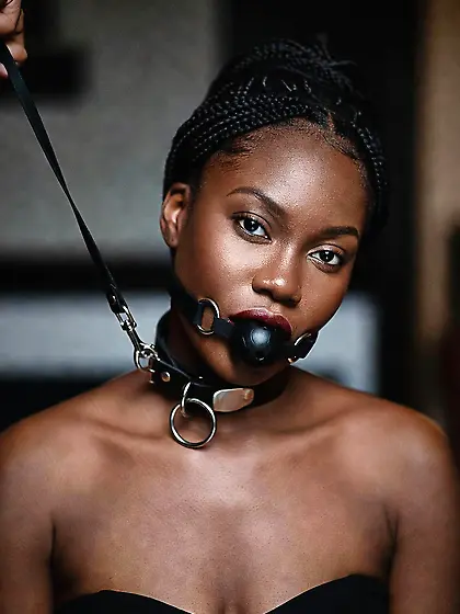 silenced and leashed are the best niggers