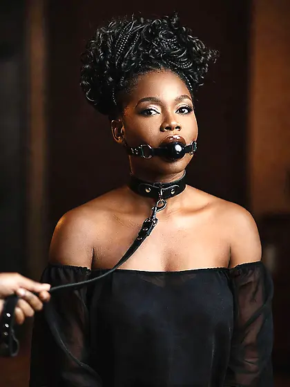 silenced and leashed are the best niggers