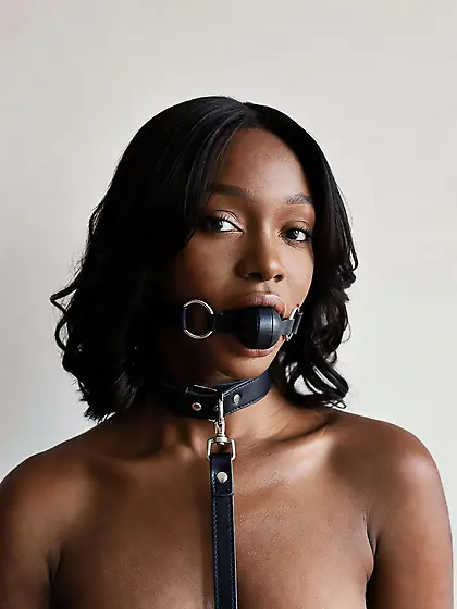 silenced and leashed are the best niggers