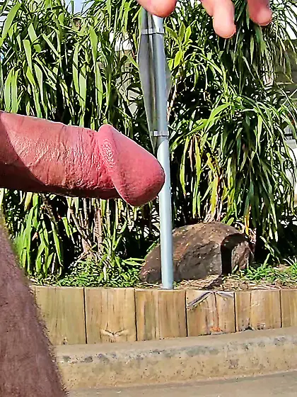 WNBR CFNM CMNM public erection Byron Bay happy