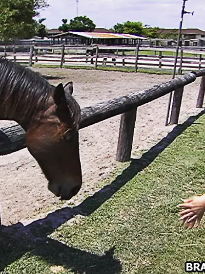 Nice butt horny babe